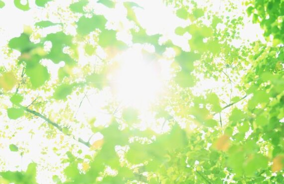 換気扇の大掃除キャンペーン実施中｜四日市でハウスクリーニングなら住人